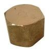 Everbilt 1/2 in. FIP Brass Cap Fitting