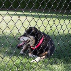 Everbilt 48 in. x 50 ft. 9-Gauge Black Fabric Chain Link 13 Everbilt 48 in. x 50 ft. 9-Gauge Black Fabric Chain Link -Everbilt Store everbilt chain link fence fabric 308864eb fa 1000