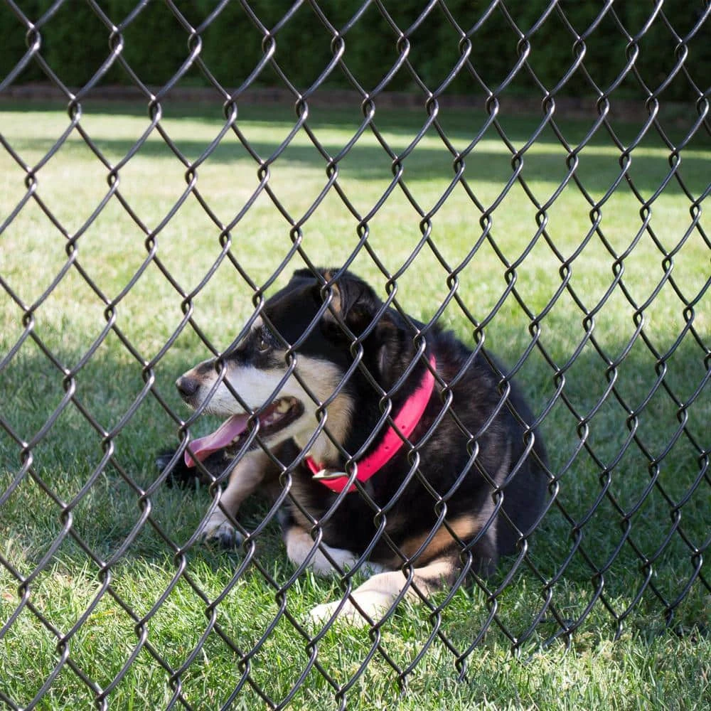 Everbilt 48 in. x 50 ft. 9-Gauge Black Fabric Chain Link 7 Everbilt 48 in. x 50 ft. 9-Gauge Black Fabric Chain Link - Image 7