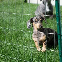 Everbilt 3 ft. x 50 ft. 14-Gauge Welded Wire -Everbilt Store everbilt garden fencing 308301eb fa 1000