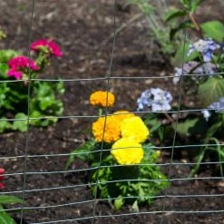 Everbilt 2.3 ft. x 50 ft. PVC Green Garden Fence Welded Wire -Everbilt Store everbilt garden fencing 308376eb 4f 1000