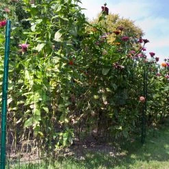 Everbilt 3 ft. x 50 ft. Black PVC Coated Welded Wire -Everbilt Store everbilt garden fencing 308381eb 4f 1000