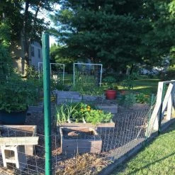 Everbilt 1 in. x 2.25 in. x 7 ft. Green Steel U Fence Post 15 Everbilt 1 in. x 2.25 in. x 7 ft. Green Steel U Fence Post -Everbilt Store green everbilt garden fencing 901157eb 1f 1000